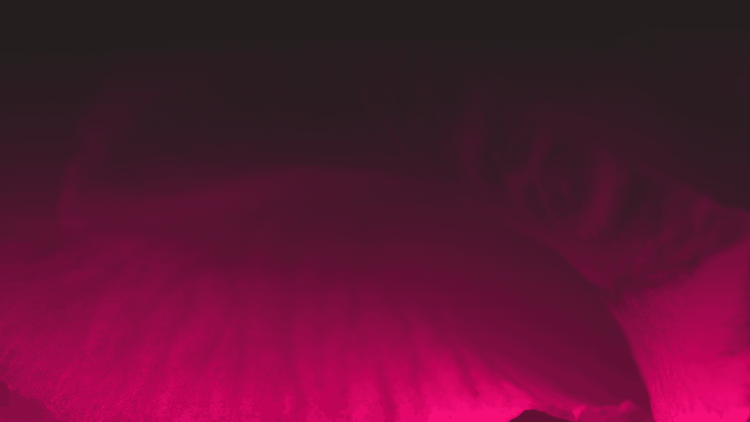 Magenta Clinique beauty clinic interior showcasing modern treatment rooms